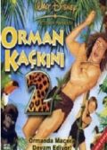 Orman Kaçkını 2