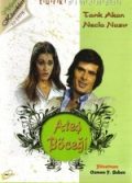 Ateş Böceği