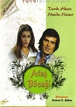 Ateş Böceği