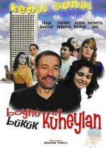 Boynu Bükük Küheylan