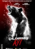 Çıldırmış Ayı
