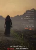 Kasırga Sezonu