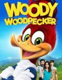 Ağaçkakan Woody