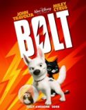 Bolt