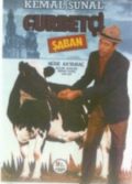 Gurbetçi Şaban