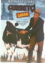 Gurbetçi Şaban