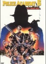 Polis Akademisi 6