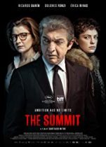 Zirve (2017)