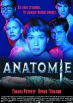 Anatomi