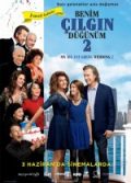 Benim Çılgın Düğünüm 2