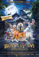 Büyüler Evi Sihirbaz Kedi