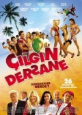 Çılgın Dersane