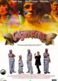 Çılgın Kamp