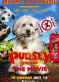 Kahraman Köpek Pudsey