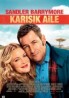 Karışık Aile
