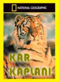Sibirya Kar Kaplanı