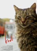 Kedi