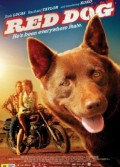 Kırmızı Köpek