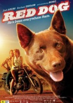 Kırmızı Köpek