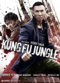 Kung Fu Jungle