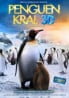 Penguen Kral