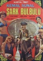 Şark Bülbülü