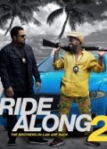 Zor Biraderler 2